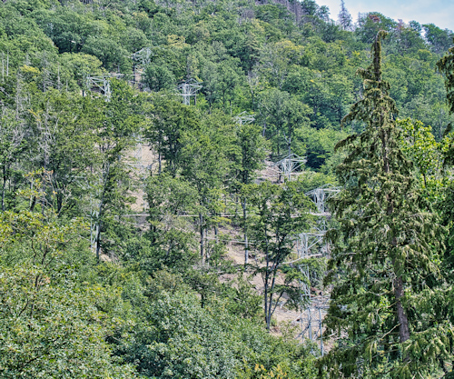 Baumwipfelpfad Bad Harzburg