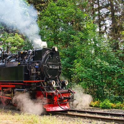 Nd7 1527